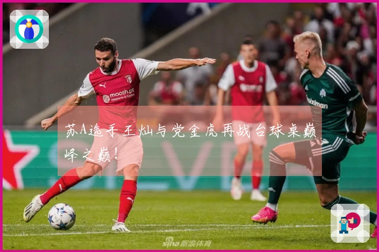 苏A选手王灿与党金虎再战台球桌巅峰之巅！