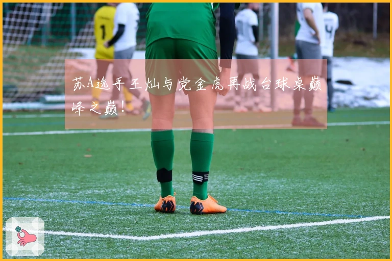 苏A选手王灿与党金虎再战台球桌巅峰之巅！